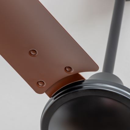 ZEVENTI - Stropni ventilator TOFINO rjava