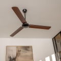 ZEVENTI - Stropni ventilator TOFINO rjava