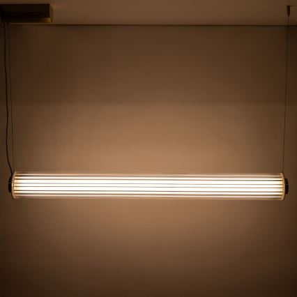 Zuma Line - zatemnjevalni LED viseči lestenec na kablu LED/39W/230V 2700-6500K zlata + daljinski upravljalnik