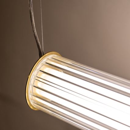 Zuma Line - zatemnjevalni LED viseči lestenec na kablu LED/39W/230V 2700-6500K zlata + daljinski upravljalnik