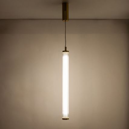 Zuma Line - LED zatemnljiv viseči lestenec na kablu LED/26W/230V 2700-6500K zlata + z daljinskim upravljalnikom