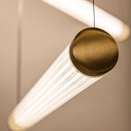Zuma Line - LED zatemljiv lestenec na jekleni vrvici LED/64W/230V 2700-6500K zlati + daljinski upravljalnik