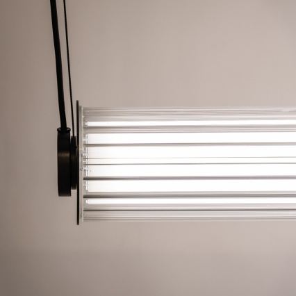 Zuma Line - LED viseči lestenec na kablu z nastavljivo svetlostjo LED/39W/230V 2700-6500K črna + daljinski upravljalnik