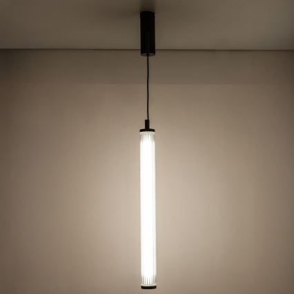 Zuma Line - LED zatemljiv lestenec na jekleni vrvici LED/26W/230V 2700-6500K črna + daljinski upravljalnik