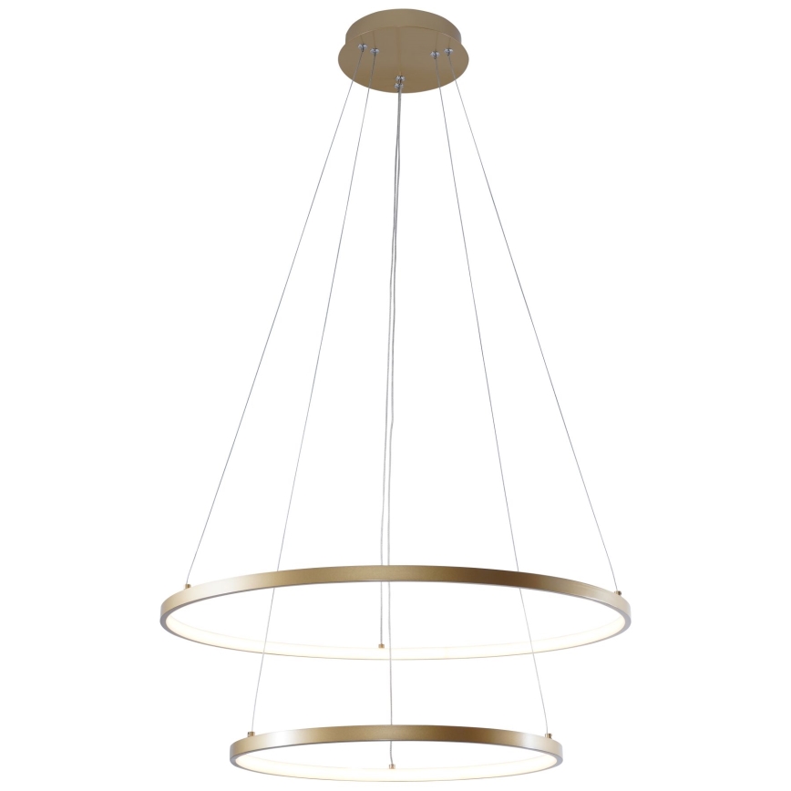 Zuma Line - LED Lestenec na vrvici LED/50W/230V 3000/4000/6000K pr. 60 cm zlata