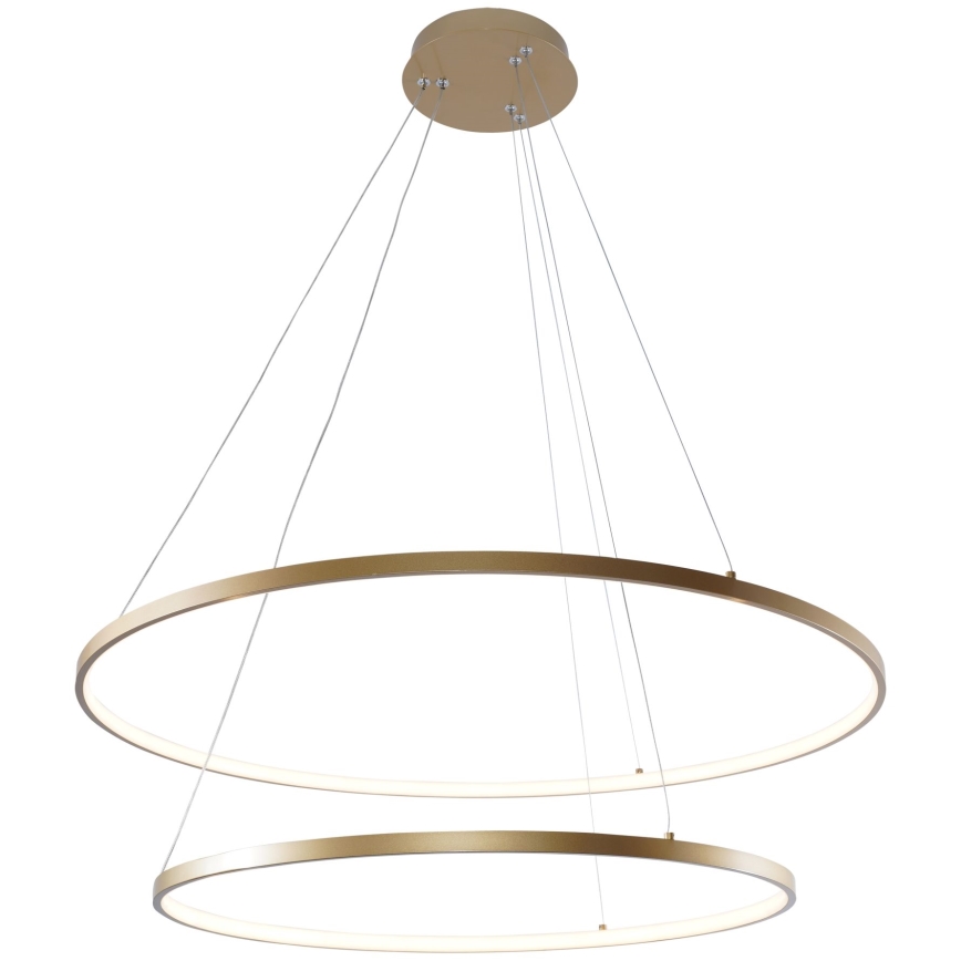 Zuma Line - LED Lestenec na vrvici LED/60W/230V 3000/4000/6000K pr. 80 cm zlata