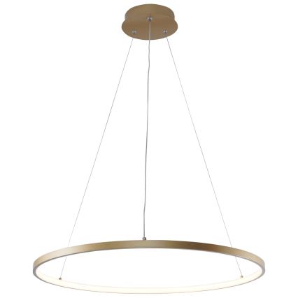Zuma Line - LED Lestenec na vrvici LED/28W/230V 3000/4000/6000K pr. 60 cm zlata