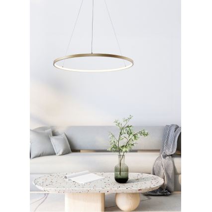 Zuma Line - LED Lestenec na vrvici LED/28W/230V 3000/4000/6000K pr. 60 cm zlata