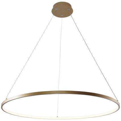 Zuma Line - LED Lestenec na vrvici LED/36W/230V 3000/4000/6000K pr. 80 cm zlata