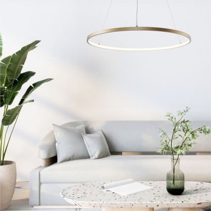 Zuma Line - LED Lestenec na vrvici LED/36W/230V 3000/4000/6000K pr. 80 cm zlata