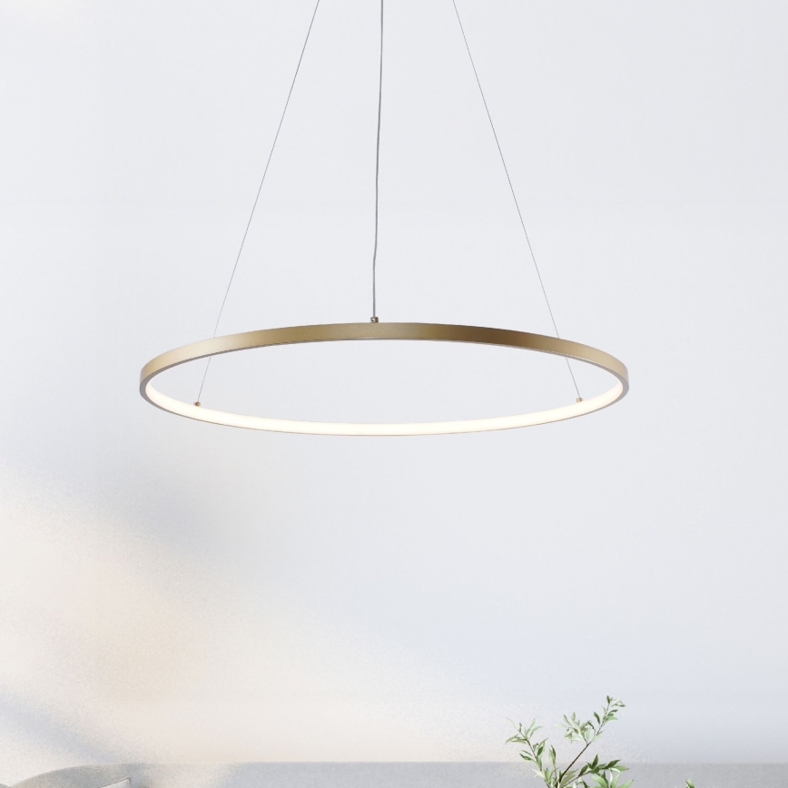 Zuma Line - LED Lestenec na vrvici LED/36W/230V 3000/4000/6000K pr. 80 cm zlata