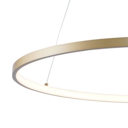 Zuma Line - LED Lestenec na vrvici LED/36W/230V 3000/4000/6000K pr. 80 cm zlata