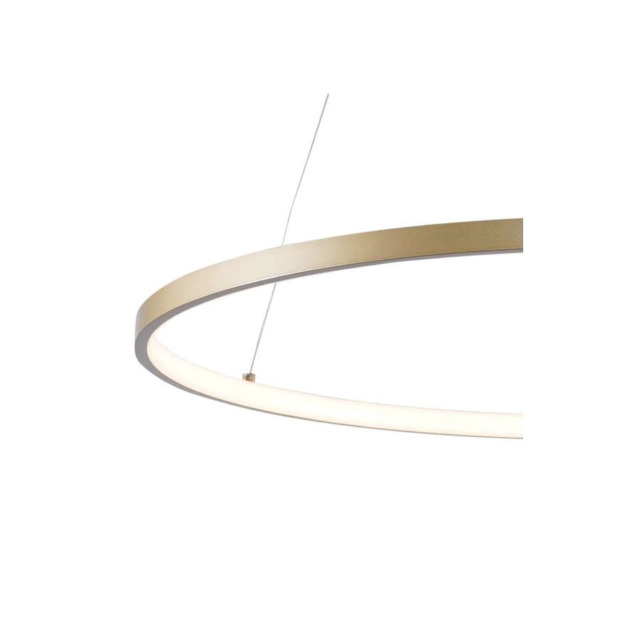 Zuma Line - LED Lestenec na vrvici LED/36W/230V 3000/4000/6000K pr. 80 cm zlata