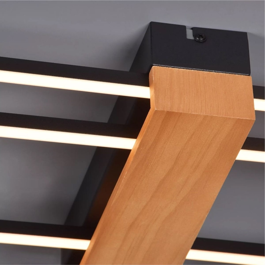 Zuma Line - LED Stropna svetilka LED/39W/230V 3000K črna/bor