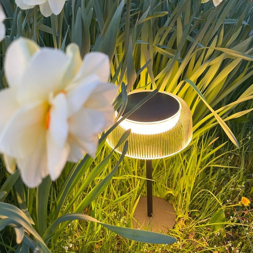 Zuma Line - LED Zatemnitvena solarna polnilna namizna svetilka LED/2,5W/2000 mAh IP44 črna
