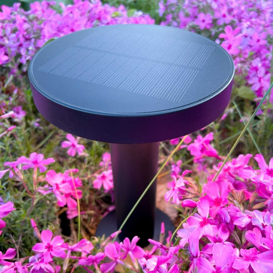 Zuma Line - LED Zatemnitvena solarna polnilna namizna svetilka LED/2W/2000 mAh IP44 črna