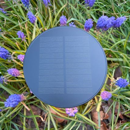 Zuma Line - LED Zatemnitvena solarna polnilna namizna svetilka LED/2W/2000 mAh IP44 črna