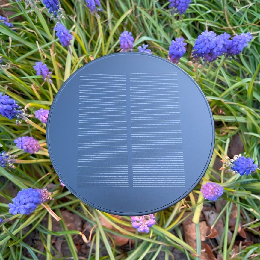 Zuma Line - LED Zatemnitvena solarna polnilna namizna svetilka LED/2W/2000 mAh IP44 črna