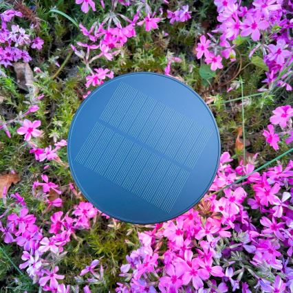 Zuma Line - LED Zatemnitvena solarna polnilna namizna svetilka LED/2W/2000 mAh IP44 črna