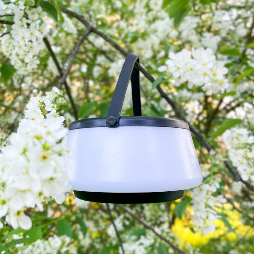 Zuma Line - LED Zatemnitvena solarna polnilna namizna svetilka LED/2,2W/2000 mAh IP44 črna