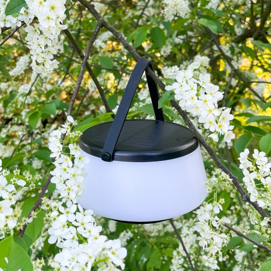 Zuma Line - LED Zatemnitvena solarna polnilna namizna svetilka LED/2,2W/2000 mAh IP44 črna
