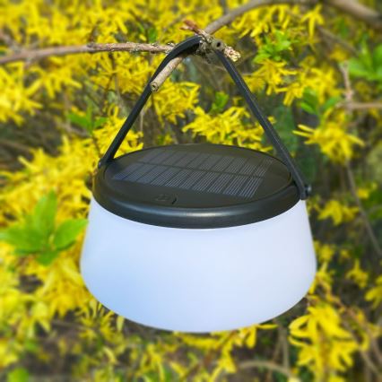Zuma Line - LED Zatemnitvena solarna polnilna namizna svetilka LED/2,2W/2000 mAh IP44 črna