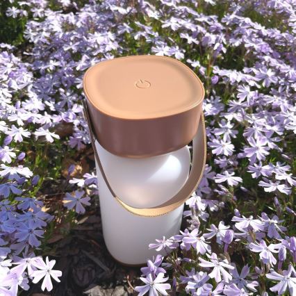 Zuma Line - LED Zatemnitvena polnilna namizna svetilka LED/3W/1200 mAh 3000/4000/6500K IP44 rjava