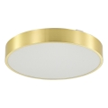 Zuma Line - LED Kopalniška zatemnitvena stropna svetilka LED/36W/230V 3000-6000K pr. 40 cm IP44 zlata + Daljinski upravljalnik