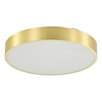 Zuma Line - LED Kopalniška zatemnitvena stropna svetilka LED/36W/230V 3000-6000K pr. 40 cm IP44 zlata + Daljinski upravljalnik