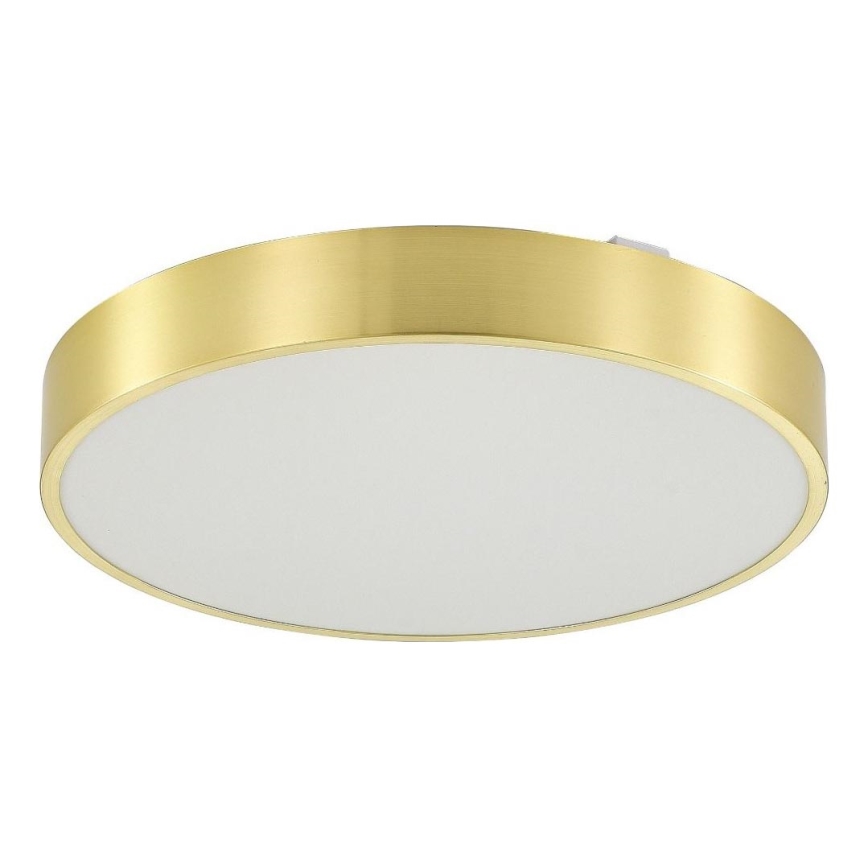 Zuma Line - LED Kopalniška zatemnitvena stropna svetilka LED/36W/230V 3000-6000K pr. 40 cm IP44 zlata + Daljinski upravljalnik