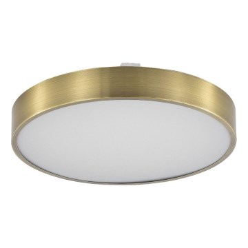 Zuma Line - LED Kopalniška zatemnitvena stropna svetilka LED/50W/230V 3000-6000K pr. 50 cm IP44 medenina + Daljinski upravljalnik