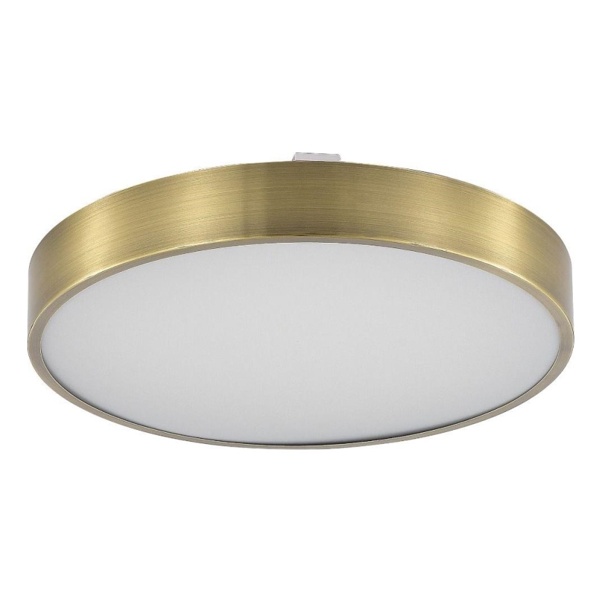 Zuma Line - LED Kopalniška zatemnitvena stropna svetilka LED/50W/230V 3000-6000K pr. 50 cm IP44 medenina + Daljinski upravljalnik