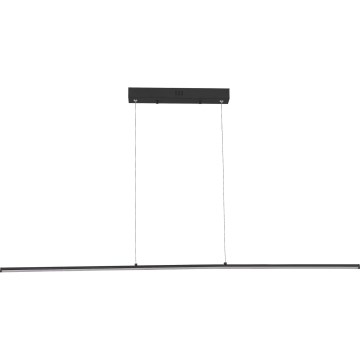 Zuma Line - LED lestenec na jeklenem kablu LED/20W/230V črn