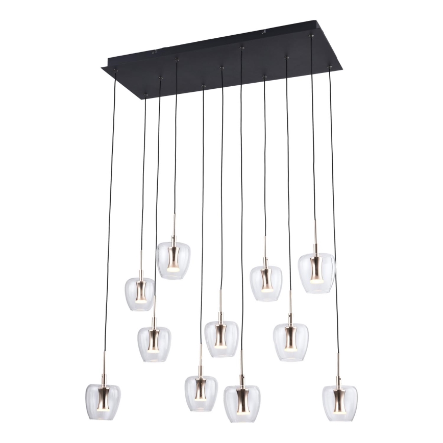 Zuma Line - LED lestenec na vrvici 11xLED/3W/230V črna