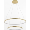Zuma Line - LED Lestenec na vrvici LED/40W/230V zlata