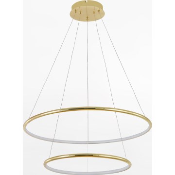 Zuma Line - LED Lestenec na vrvici LED/40W/230V zlata