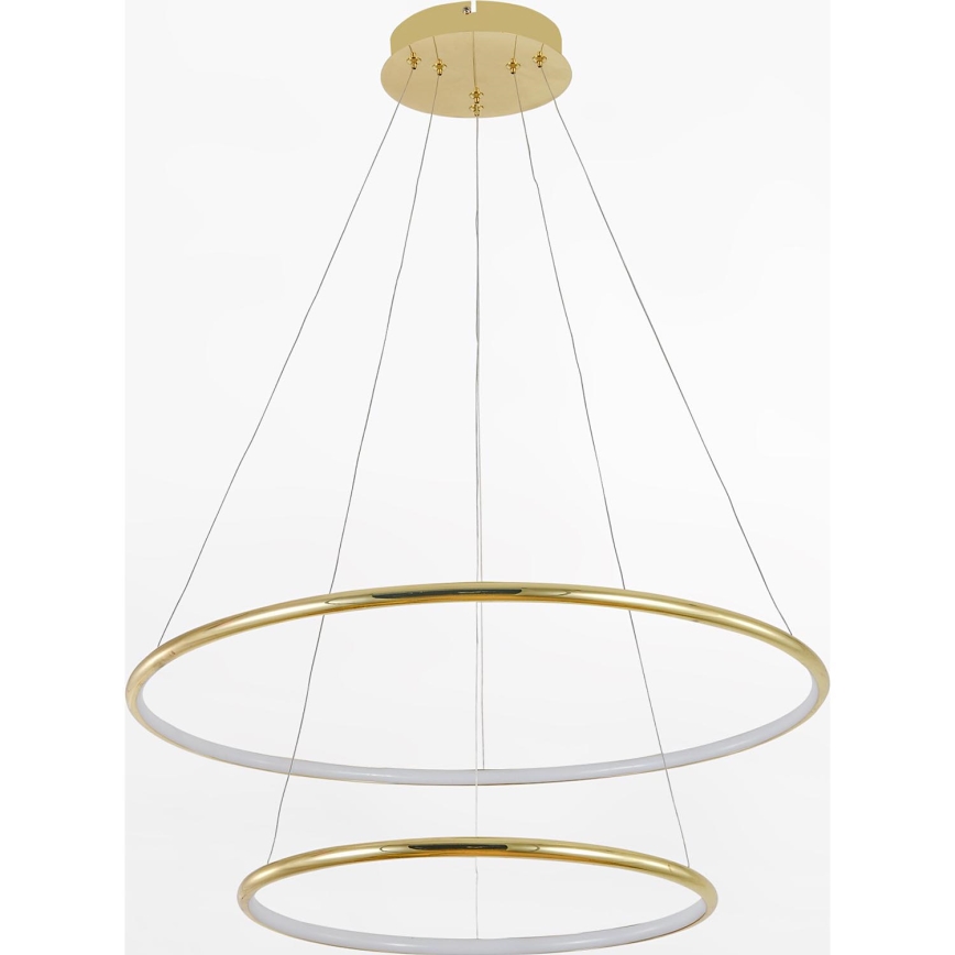 Zuma Line - LED Lestenec na vrvici LED/40W/230V zlata
