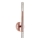 Zuma Line - LED Stenska svetilka 2xLED/5W/230V Rosegold