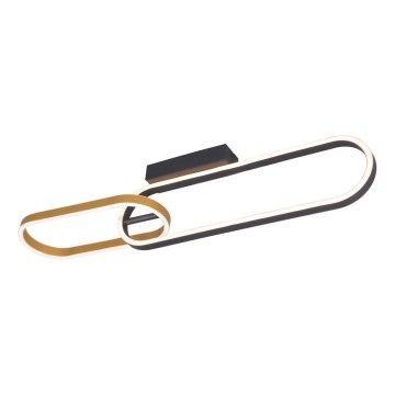 Zuma Line - LED stropna svetilka 2xLED/24W/230V črna/zlata