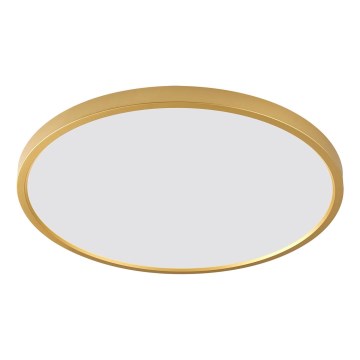 Zuma Line - LED stropna svetilka CAMI LED/36W/230V 3000/4000/6000K, Ø 40 cm, zlata