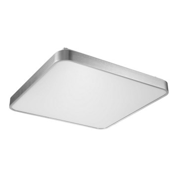 Zuma Line - LED Stropna svetilka LED/60W/230V sijajni krom