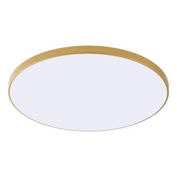 Zuma Line - LED stropna svetilka VERI LED/32W/230V, premer 37 cm, zlata