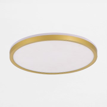 Zuma Line - LED Zatemnitvena stropna svetilka LED/26,5W/230V + LED/6,5W 3000/4000/5500K pr. 32 cm zlata