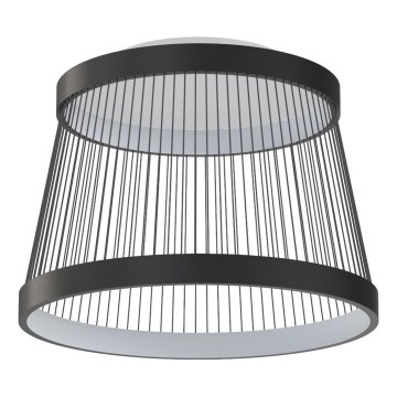 Zuma Line - LED Zatemnitvena stropna svetilka LED/32W/230V 2700-6000K črna + Daljinski upravljalnik