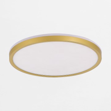 Zuma Line - LED Zatemnitvena stropna svetilka LED/38W/230V + LED/11W 3000/4000/5500K pr. 50 cm zlata