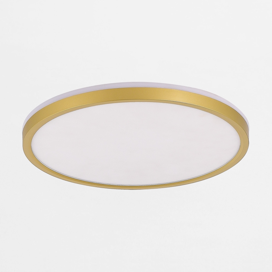Zuma Line - LED Zatemnitvena stropna svetilka LED/38W/230V + LED/11W 3000/4000/5500K pr. 50 cm zlata