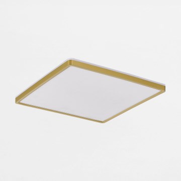 Zuma Line - LED Zatemnitvena stropna svetilka LED/38W/230V + LED/12W 3000/4000/5500K 40x40 cm zlata
