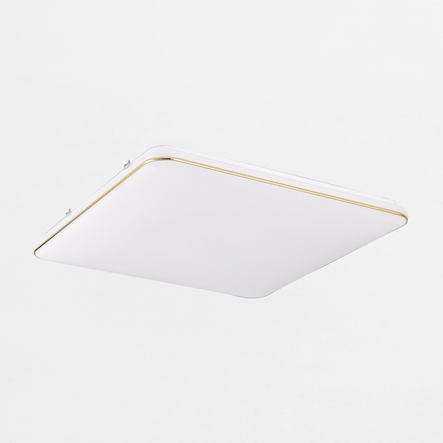 Zuma Line - LED Zatemnitvena stropna svetilka LED/48W/230V 53x53 cm zlata