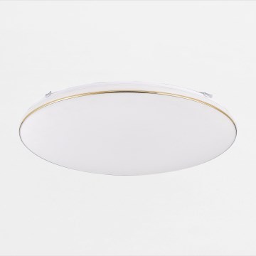 Zuma Line - LED Zatemnitvena stropna svetilka OMAR LED/48W/230V pr. 53 cm zlata