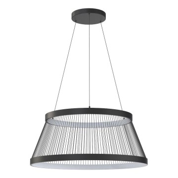 Zuma Line - LED Zatemnitveni lestenec na vrvici LED/53W/230V 2700-6000K črna + Daljinski upravljalnik
